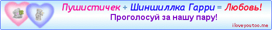 Пушистичек + Шиншиллка Гарри = Любовь! - Картинки для любимых