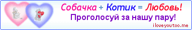 Собачка + Котик = Любовь! - Картинка для влюблённых